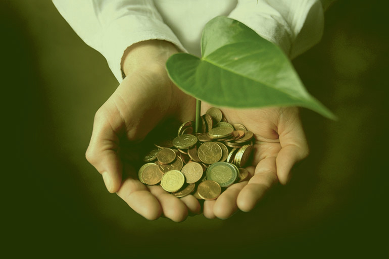 économie et écologie chez IM.SOLAR