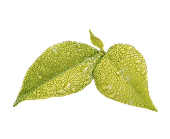 usine eco-responsable